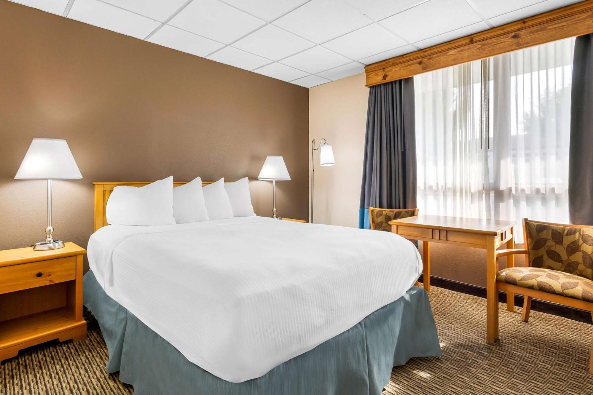 צ'מברליין Best Western Lee'S Motor Inn מראה חיצוני תמונה